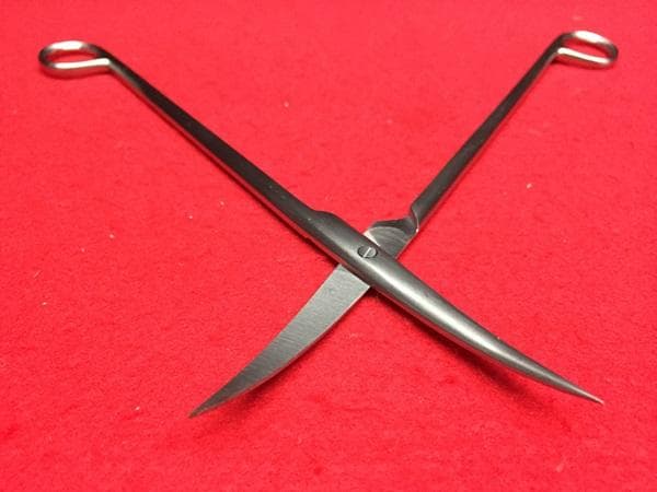 Ｙ アクアリウム好きな方がお勧め‼ アクア デザイン アマノ トリミングシザーズ