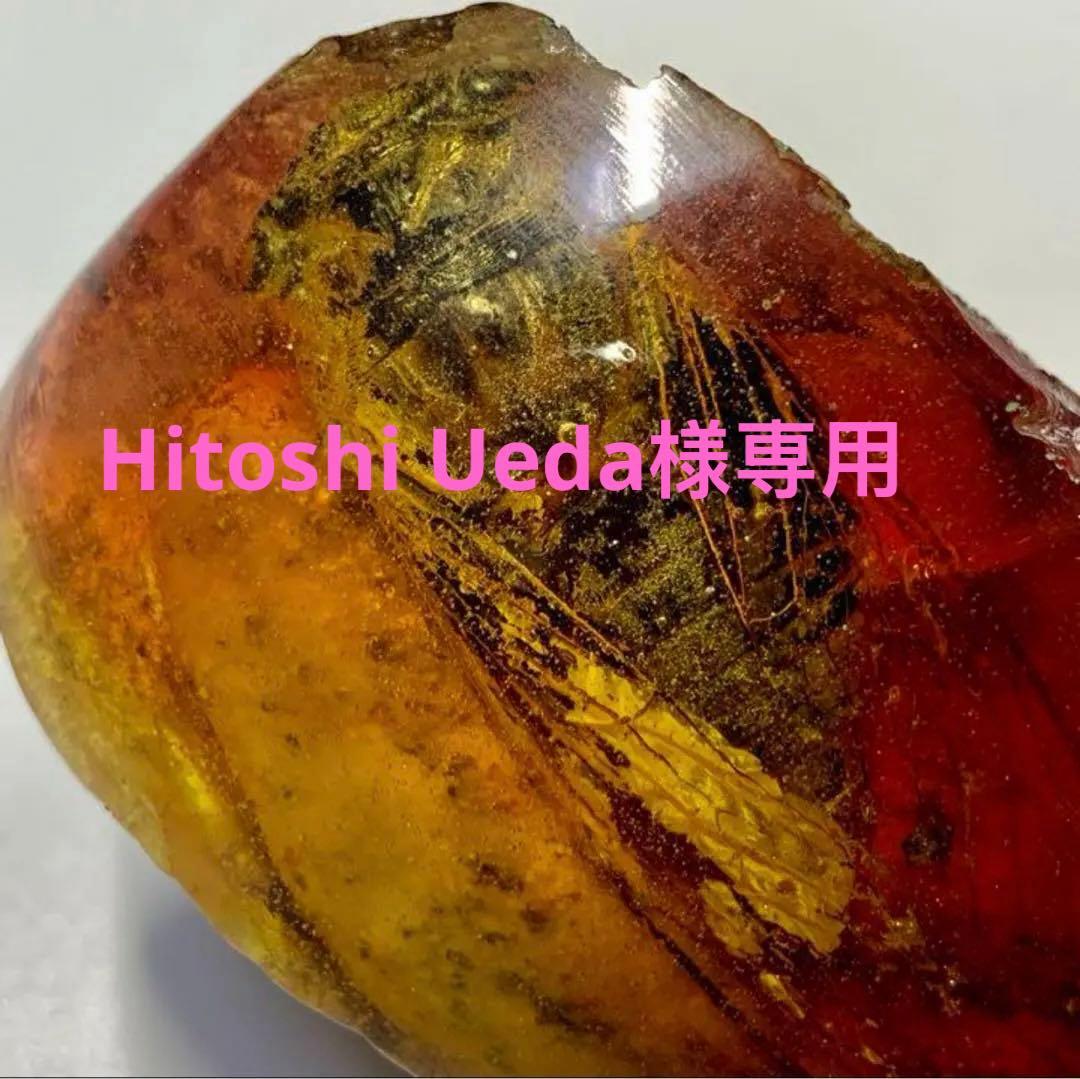 琥珀 昆虫標本天然形成入り琥珀 蝉　飾り　不思議　可愛い吉祥物　　置物