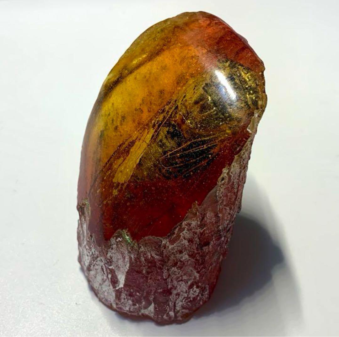 琥珀 昆虫標本天然形成入り琥珀 蝉　飾り　不思議　可愛い吉祥物　　置物