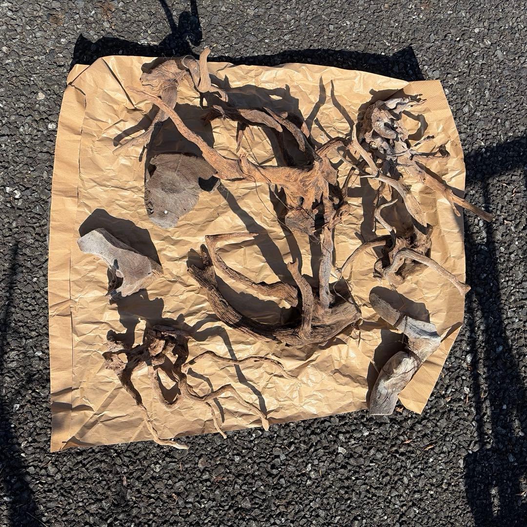 アクアリウム　流木　水槽用