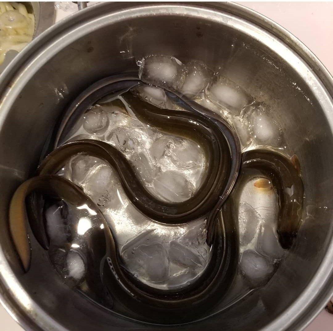 うなぎ　マル秘仕掛け