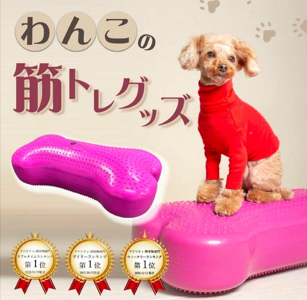 アプリア　バランスボーン　獣医師推奨