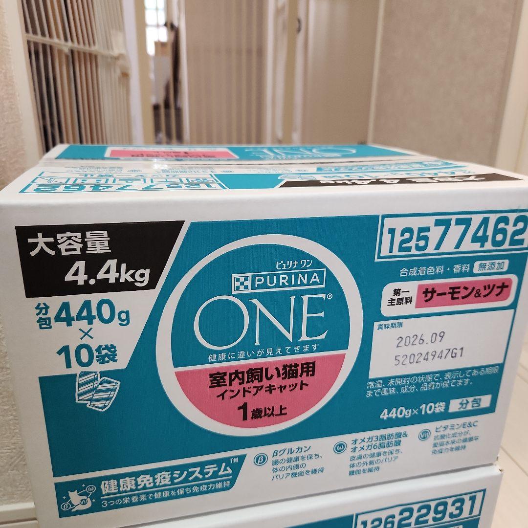 ～あやぱん～　ピュリナワン サーモン&ツナ⁄チキンの2箱