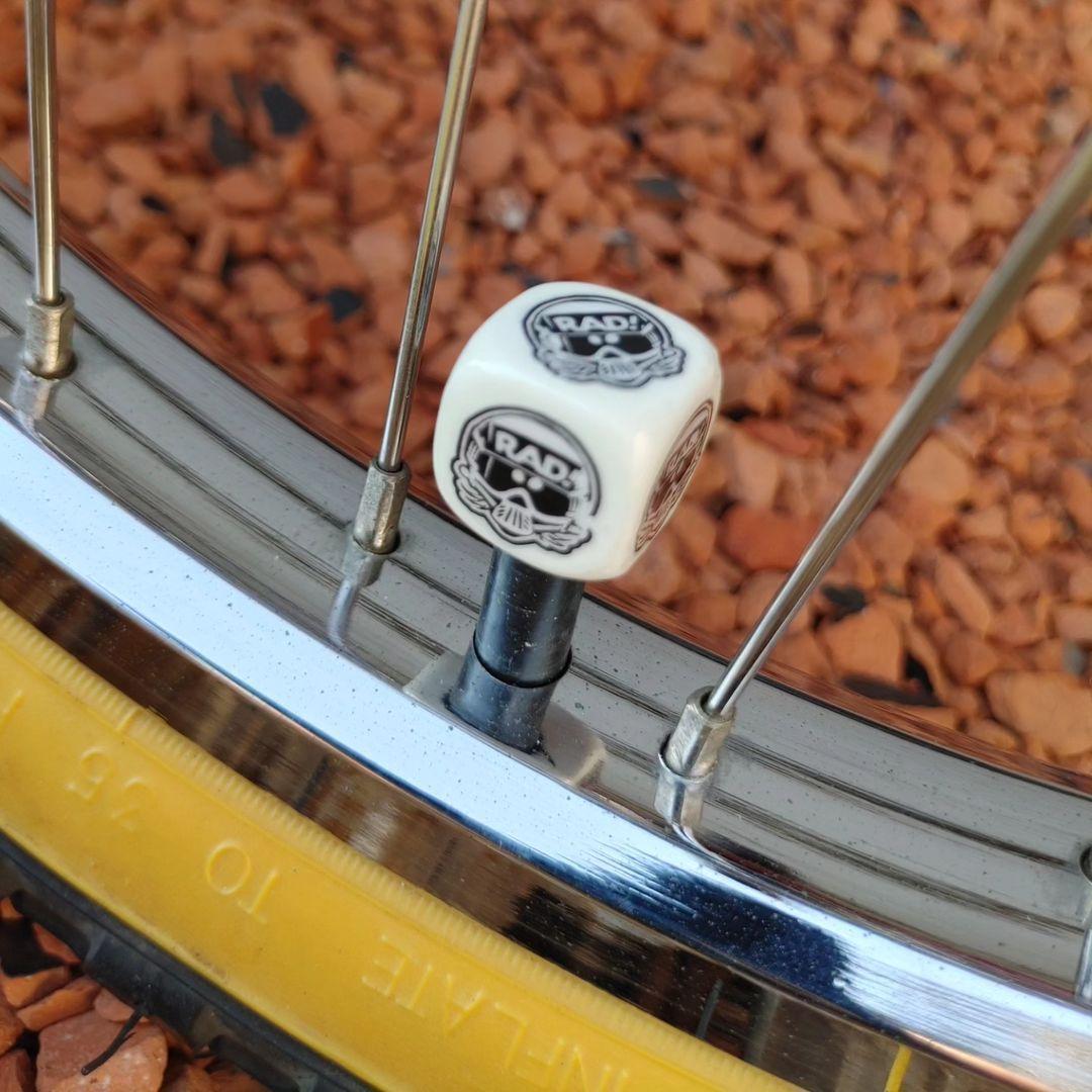 ⭕️★ Robinson Racing SST BMX 20\" (希少)