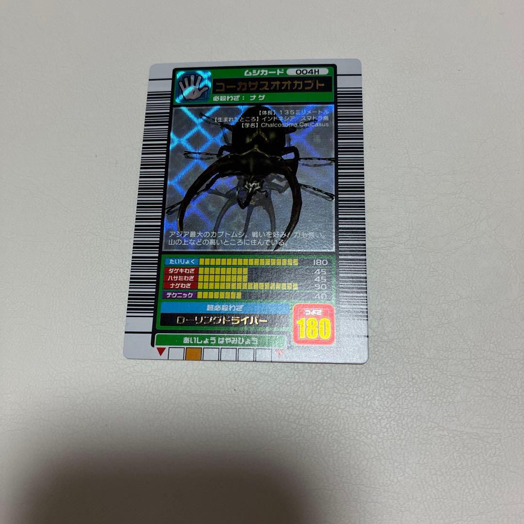 コーカサスオオカブト