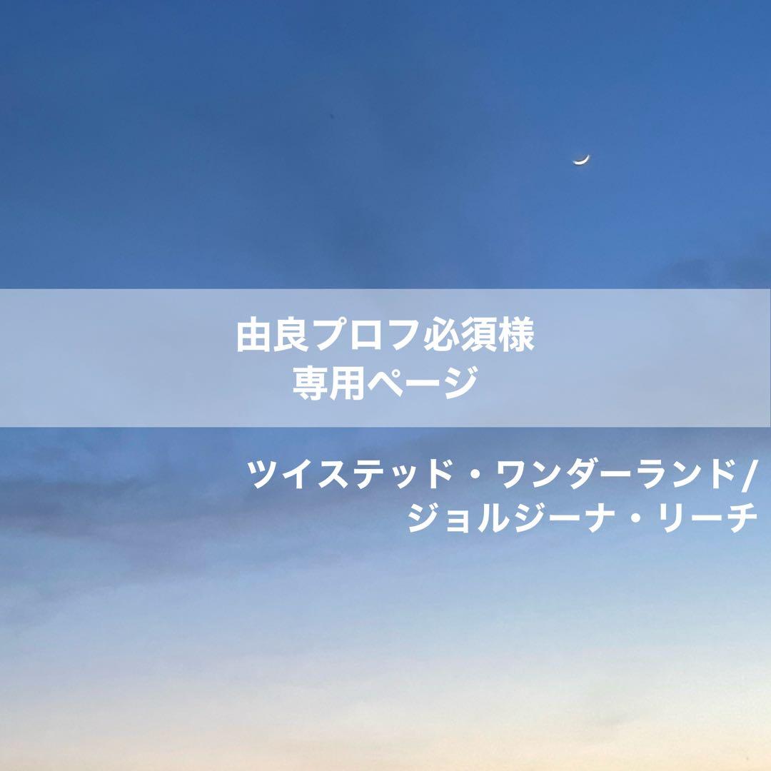 由良プロフ必須ページ