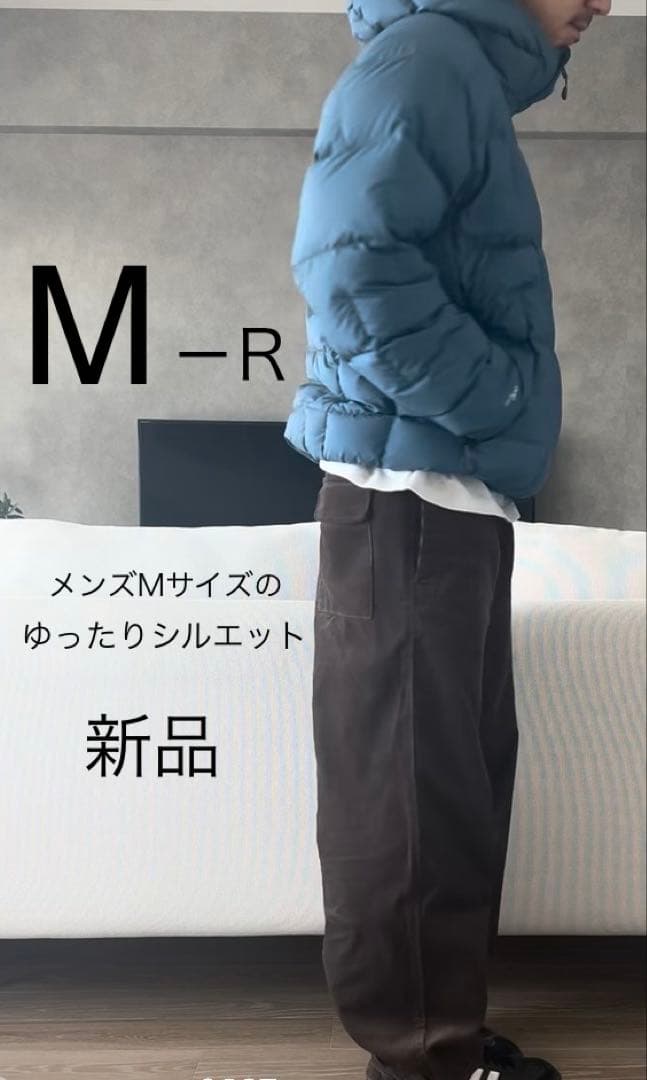 ネージュダウンパーカー　新品未使用　モンベル　mont-bell ブルー