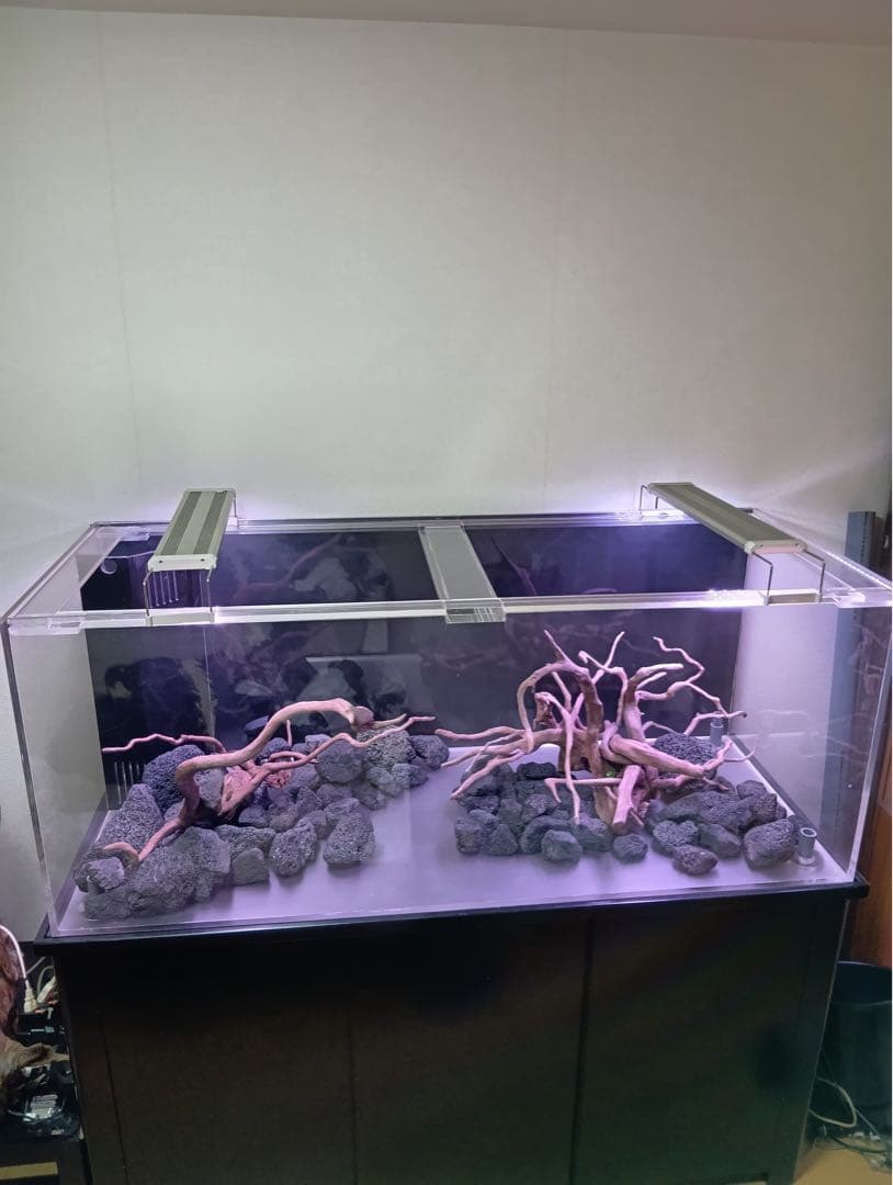 大きなガラス水槽 内蔵フィルター付き