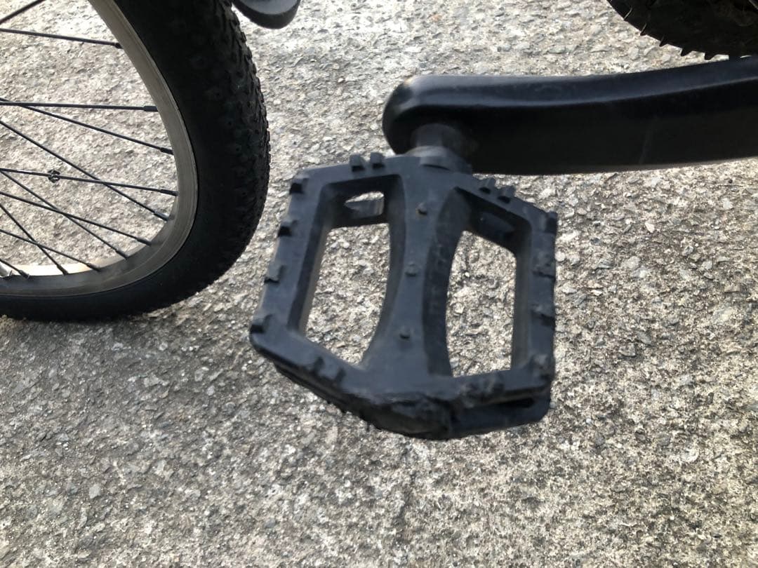 ルイガノジュニア22インチ　現行モデル