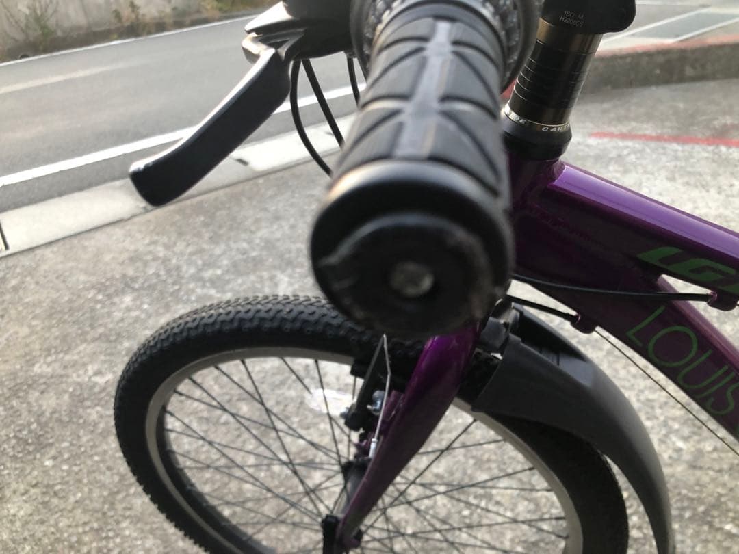 ルイガノジュニア22インチ　現行モデル