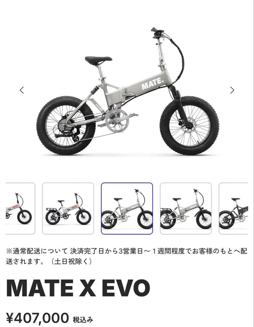 MATE X EVO 折りたたみ電動自転車新品Silver Haze