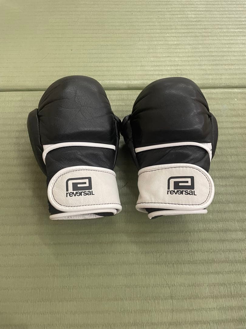 パウンドグローブ　reversal