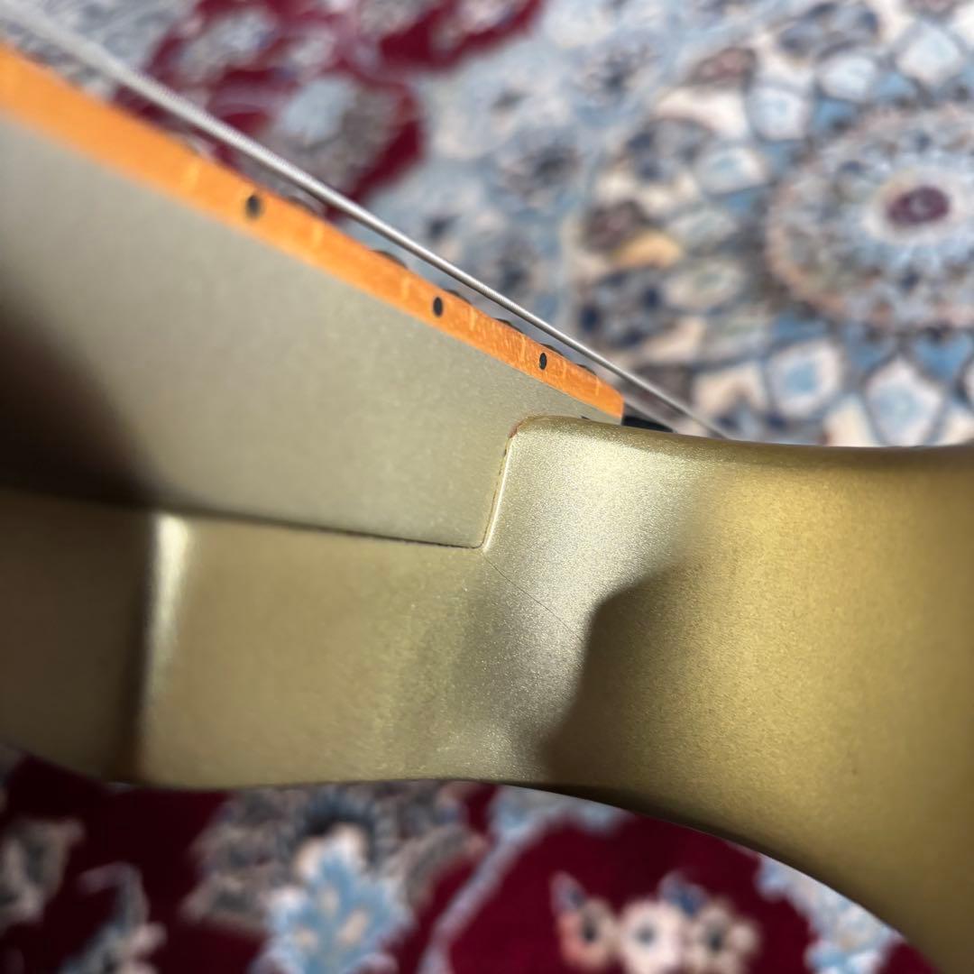 Barclay GLAY TAKURO 使用タイプ　ダブルカッタウェイ　ギター