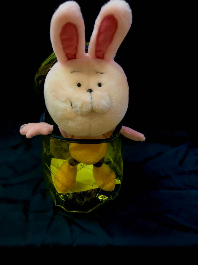 【新品激レア！入荷未定！】20471120ウサHyoma ぬいぐるみ旧タグ付き♪