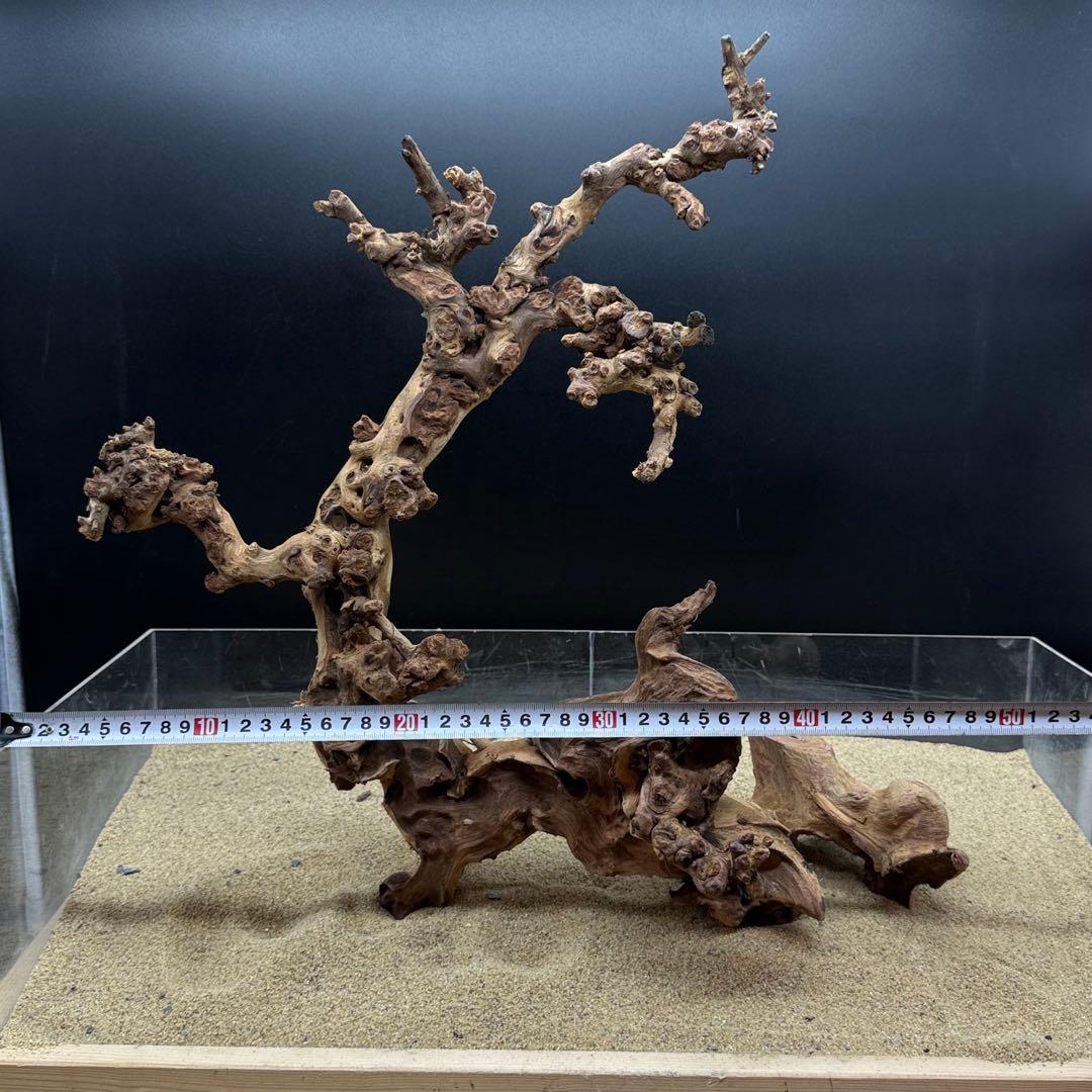 MSW-7083 天然流木 一点物　枝流木　アクアリウム