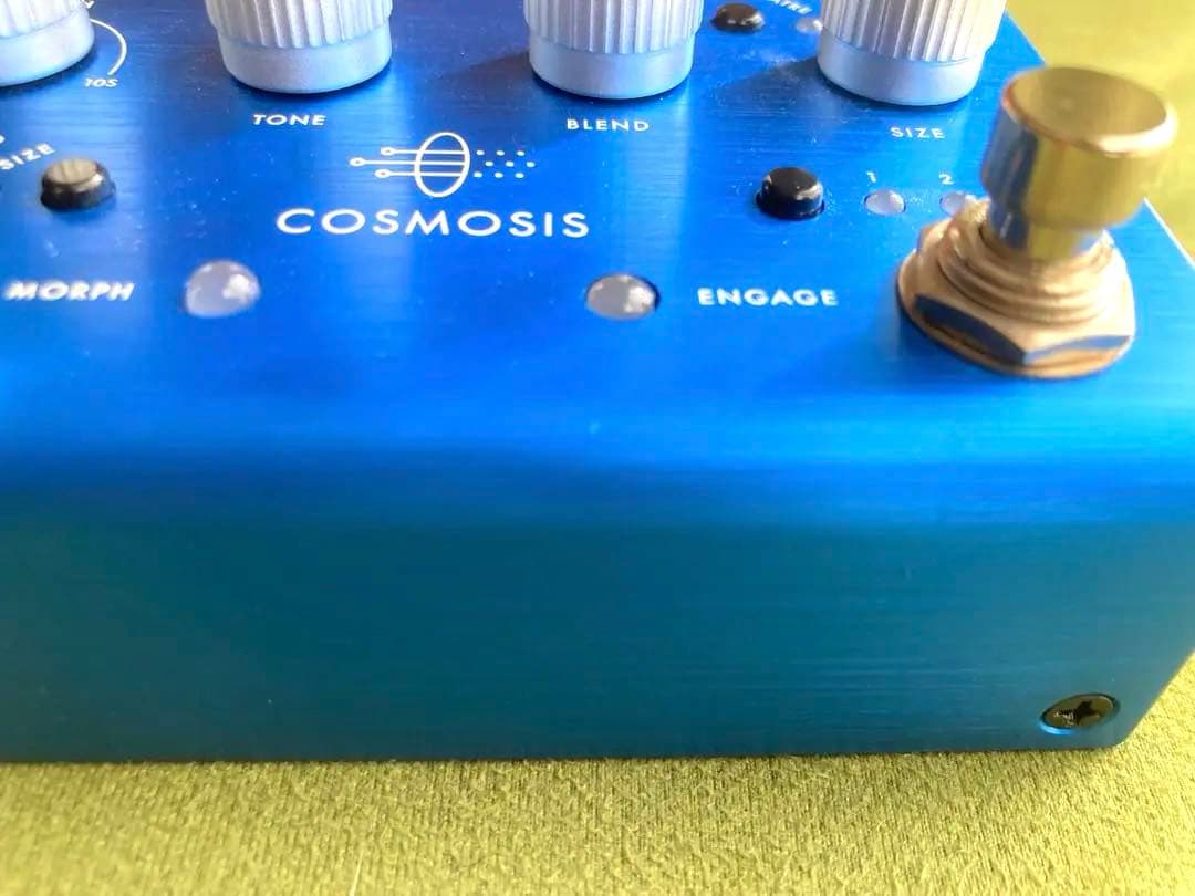 PIGTRONIX COSMOSIS アンビエントリバーブ ピグトロニクス 美品