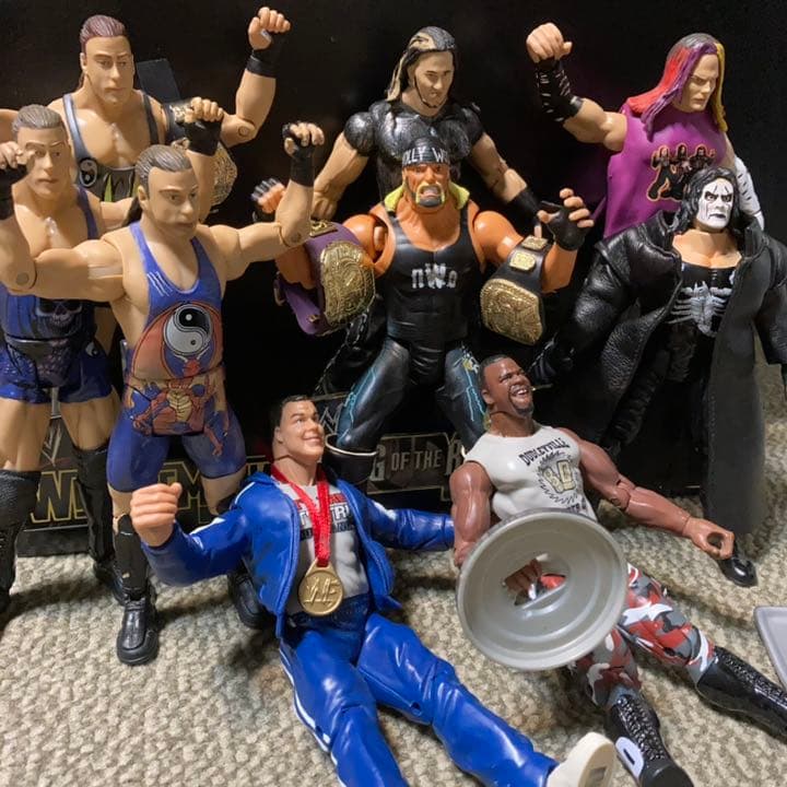 WWE WWF プロレス フィギュア　10体セット