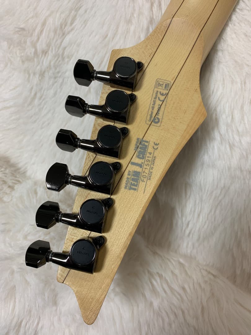 ギター Ibanez Prestige RG2570E-VGD