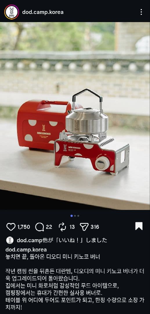 DOD 韓国 ミニキノコ