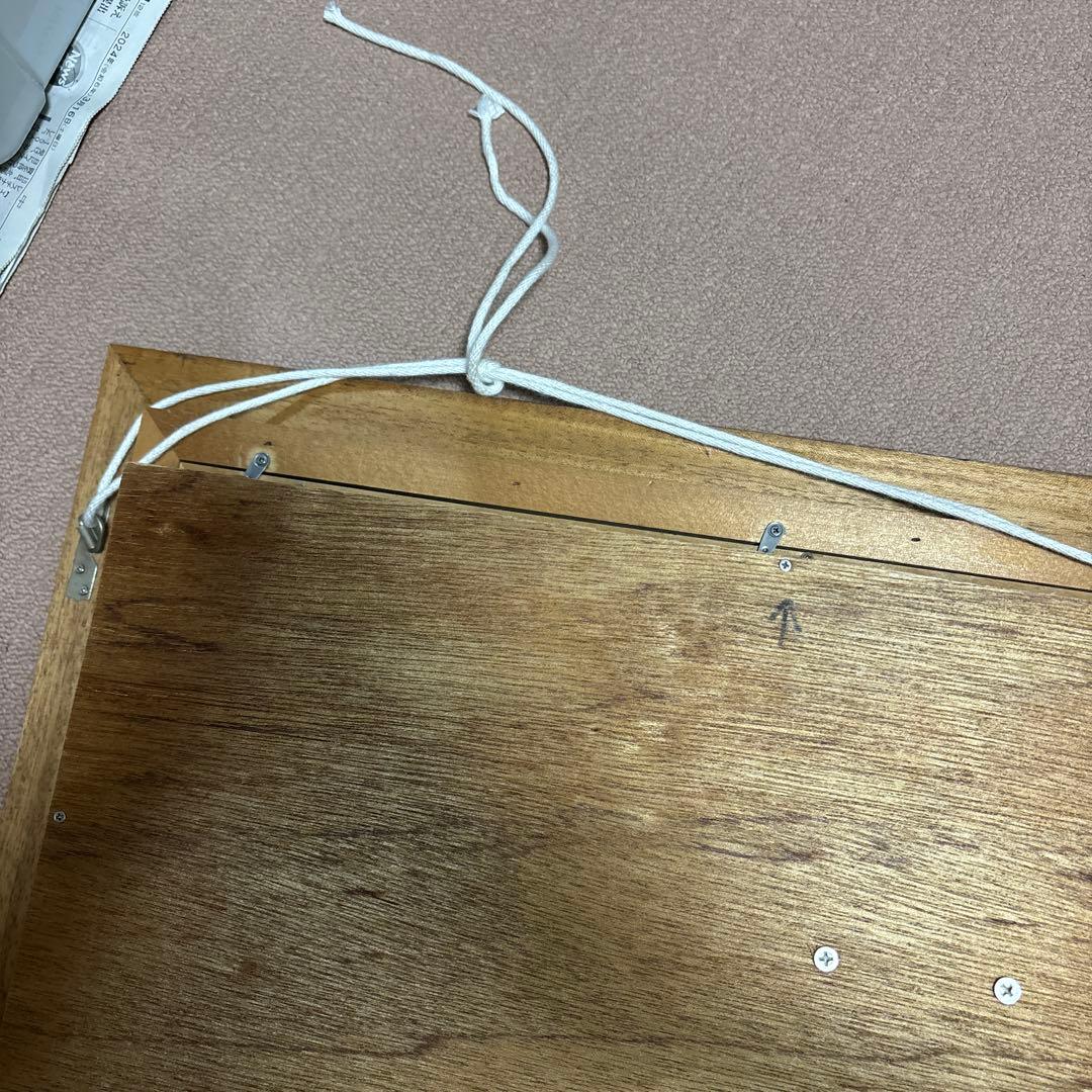 岩魚標本 イワナ　剥製　川魚　清流魚