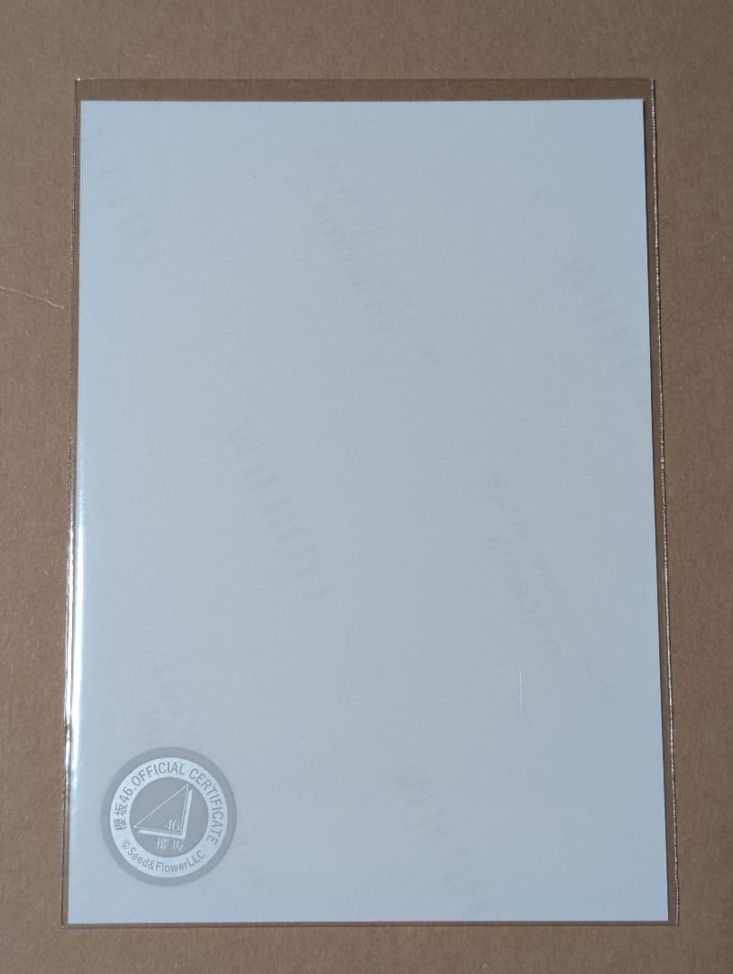 モ*６様 櫻坂46 直筆サイン入り生写真「2024年 クリスマスサンタ衣装 」山