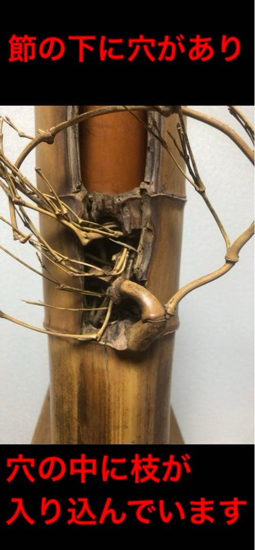 変竹竹花入　表千家流久田家　無適斎(久田宗也十一代)好み　書付　花押