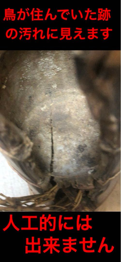 変竹竹花入　表千家流久田家　無適斎(久田宗也十一代)好み　書付　花押