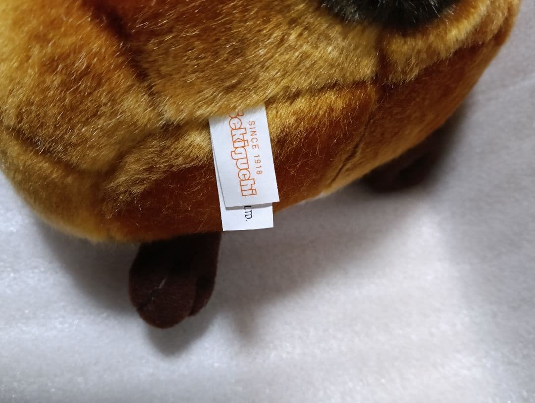 【 希少 】 あらいぐまラスカル セキグチ ぬいぐるみ M