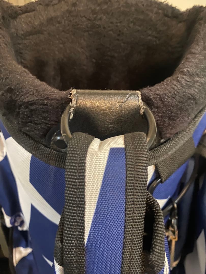 V TWELVE 着せ替えキャディバッグ