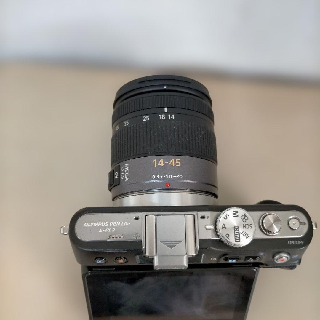オリンパスpl3 + Lumix G Vario 14-45