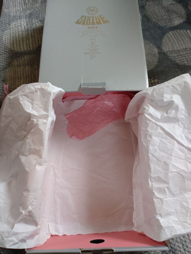 最終値下げ！NIKE レブロン20 オールスター 26cm