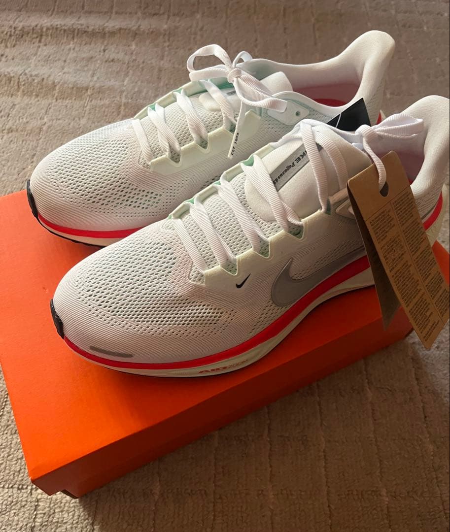 Nike ペガサス41 27cm