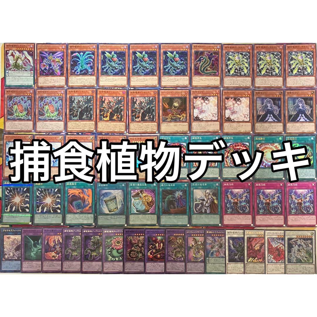 捕食植物 プレデタープランツ デッキ 遊戯王 Predaplant deck b