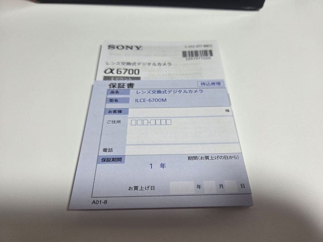 SONY α6700 ボディ 本体＋付属品