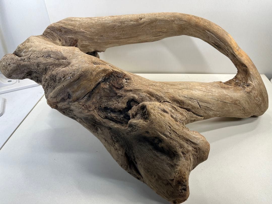 m10特大流木 アク抜き済み 爬虫類シェルター 登り木 インテリア オブジェ