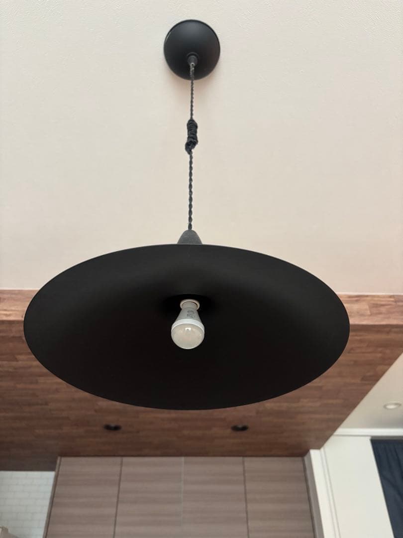 ARTWORKSTUDIO ブラック ペンダントライト