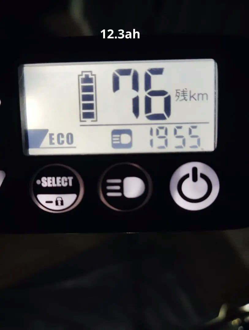 YAMAHA PAS withDX　値段は12.3ah準拠