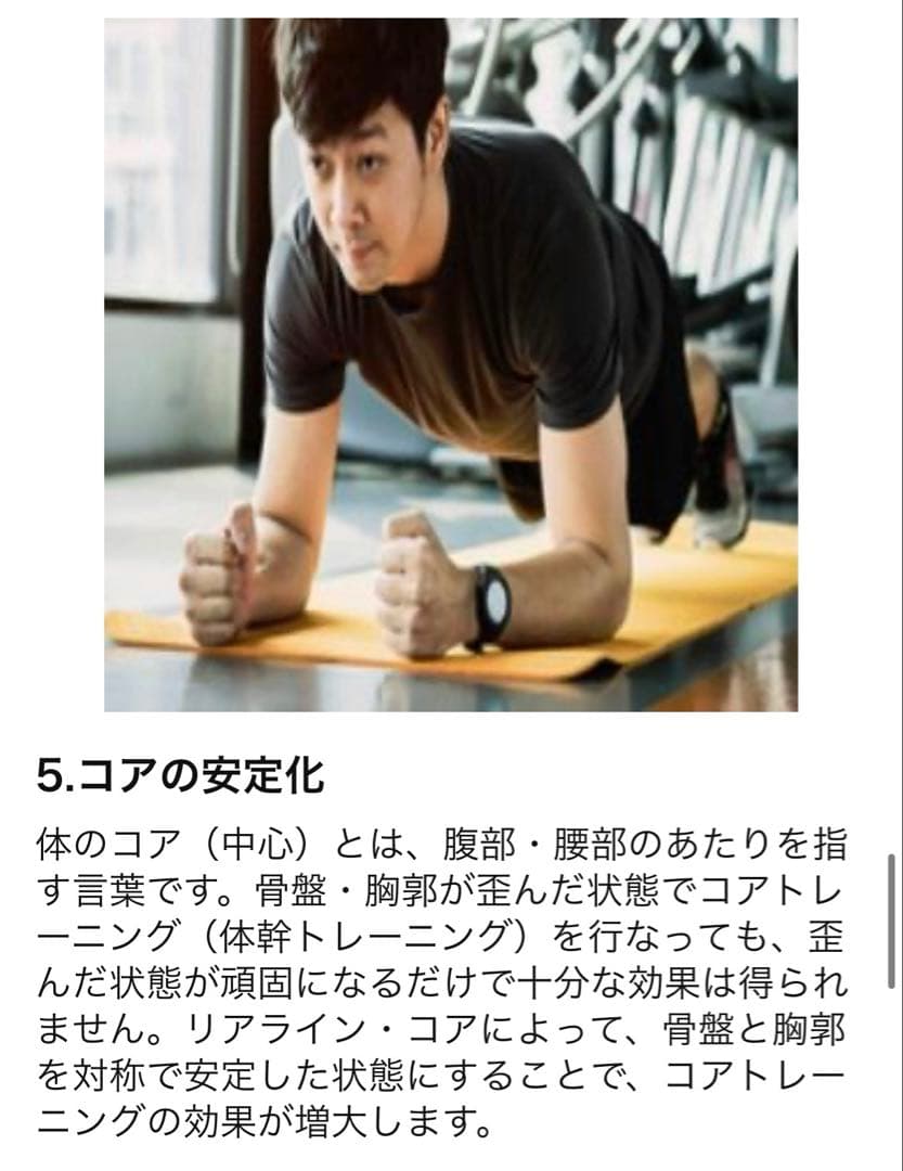 リアラインコア　2個セット