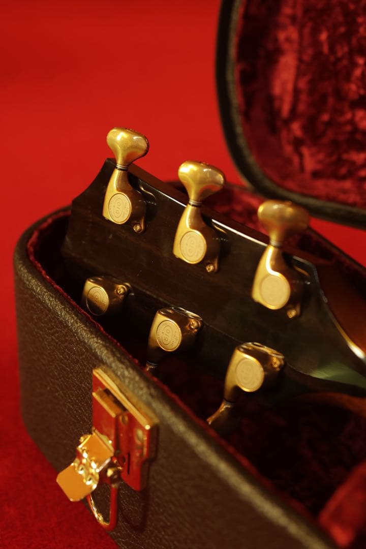 ギター Taylor 914ce V-Class