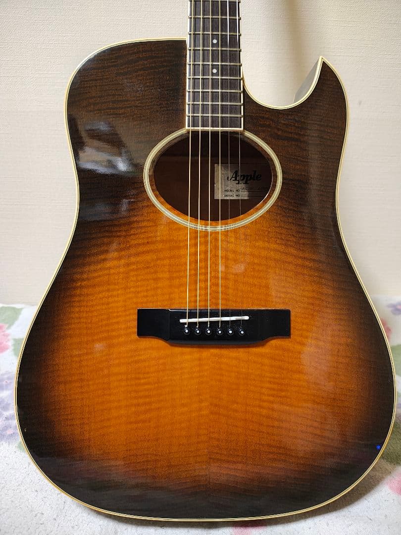 16日まで価格！日本製 極虎Apple ACW-4BS/エレアコ