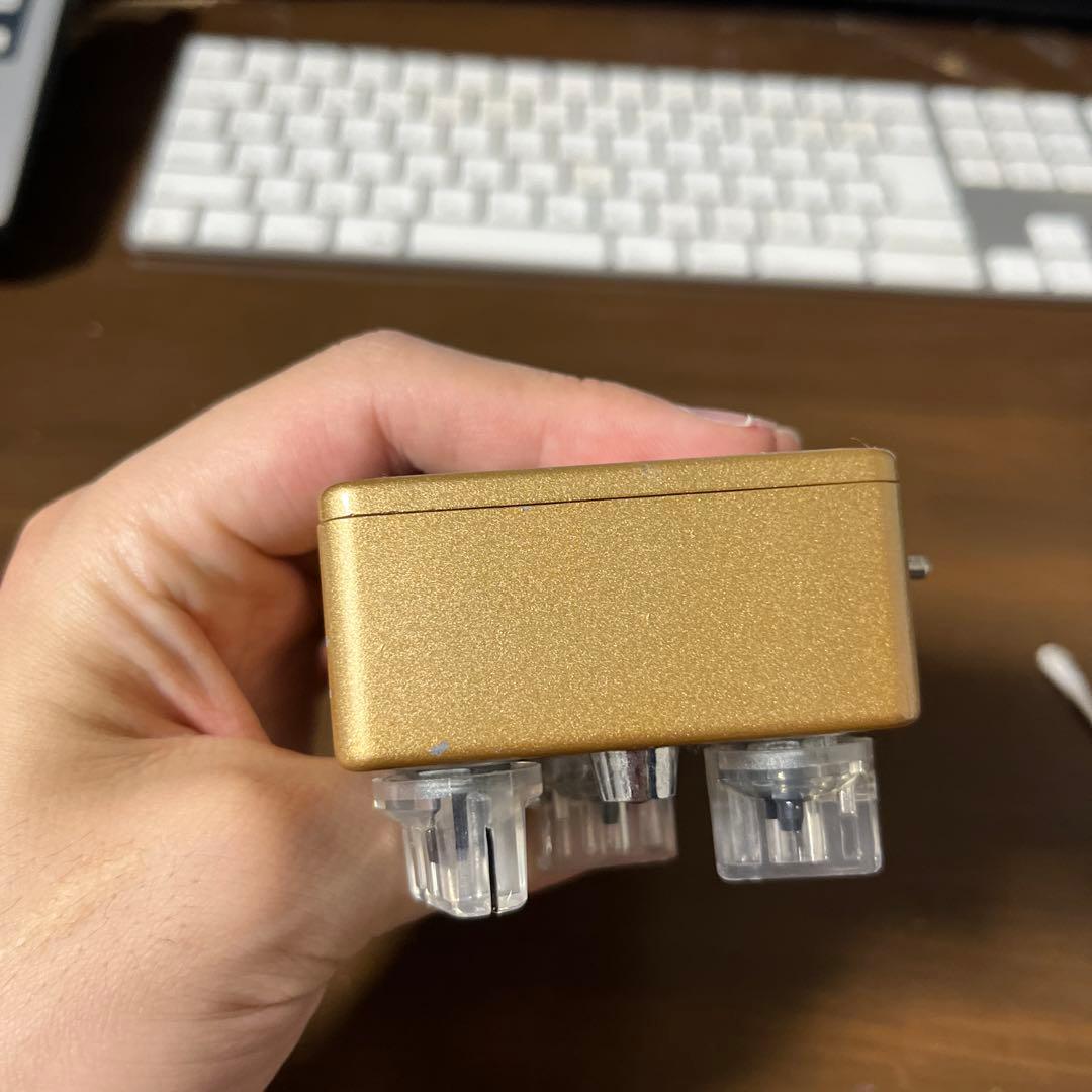 ギター vivie ferrecomp