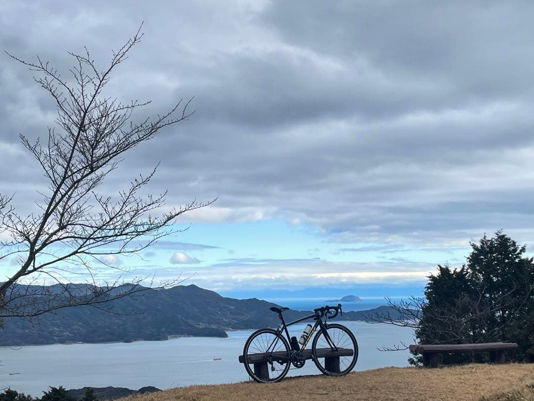 TREK DOMANE al2 リムブレーキモデル