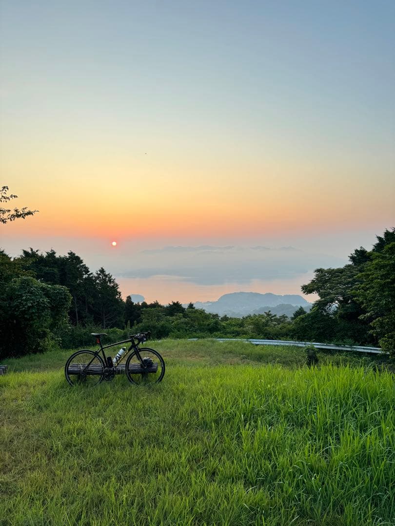 TREK DOMANE al2 リムブレーキモデル