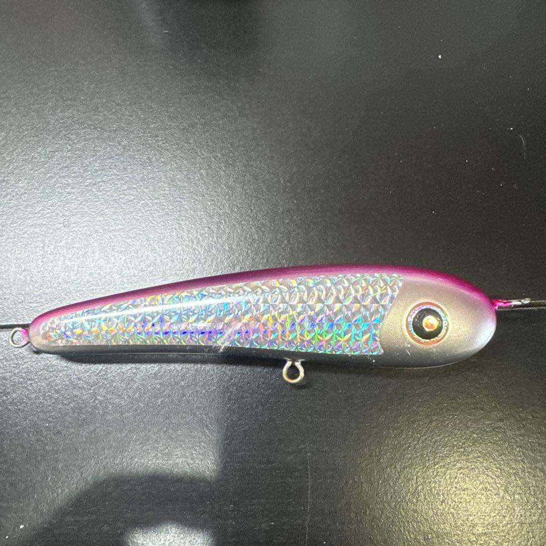 ローカルスタンダード　サージベイト170