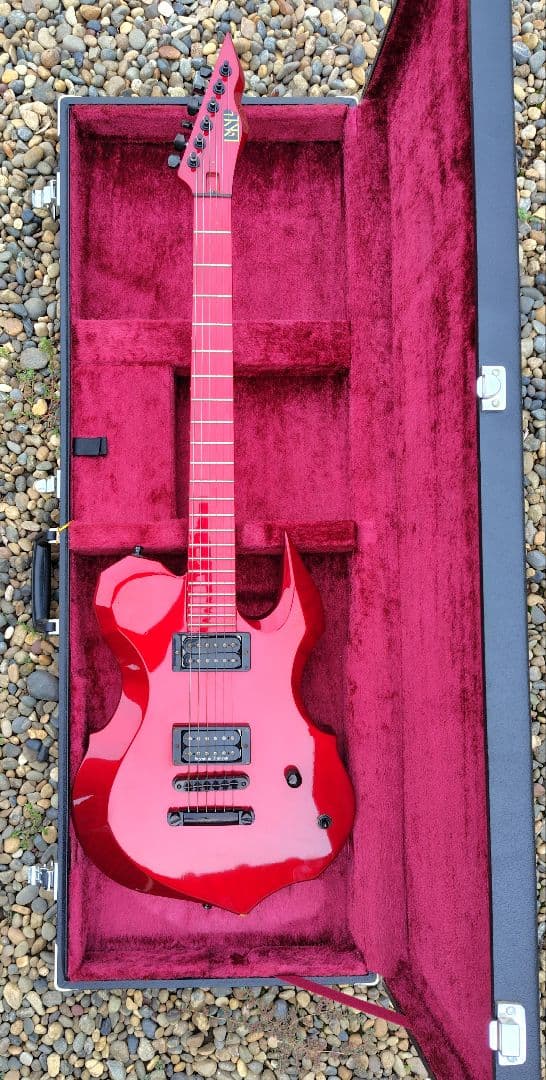 ESPordermade品　D-DRメイプル指板　DIRENGREY　DIEさん