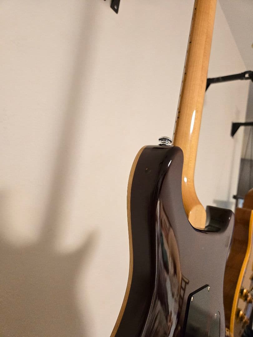 レフティ　PRS SE custom24 ケース付き