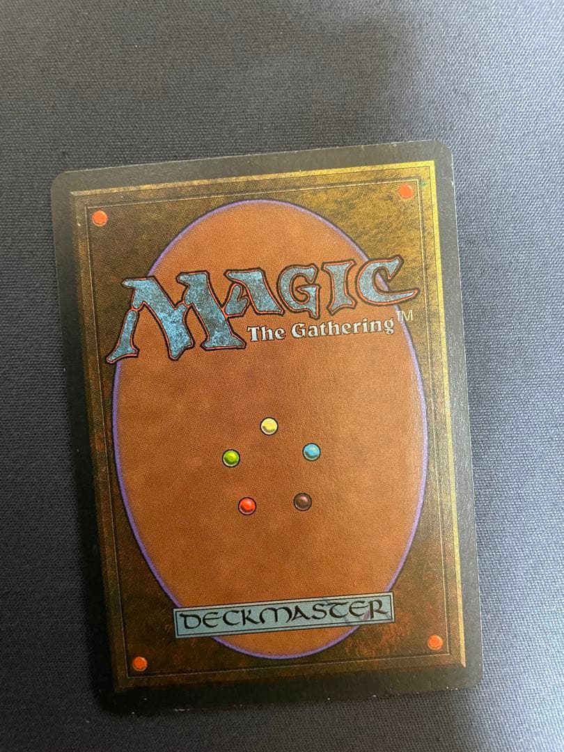 mtg Isola Tropicale 2　Taiga 1　繰り返す悪夢 1