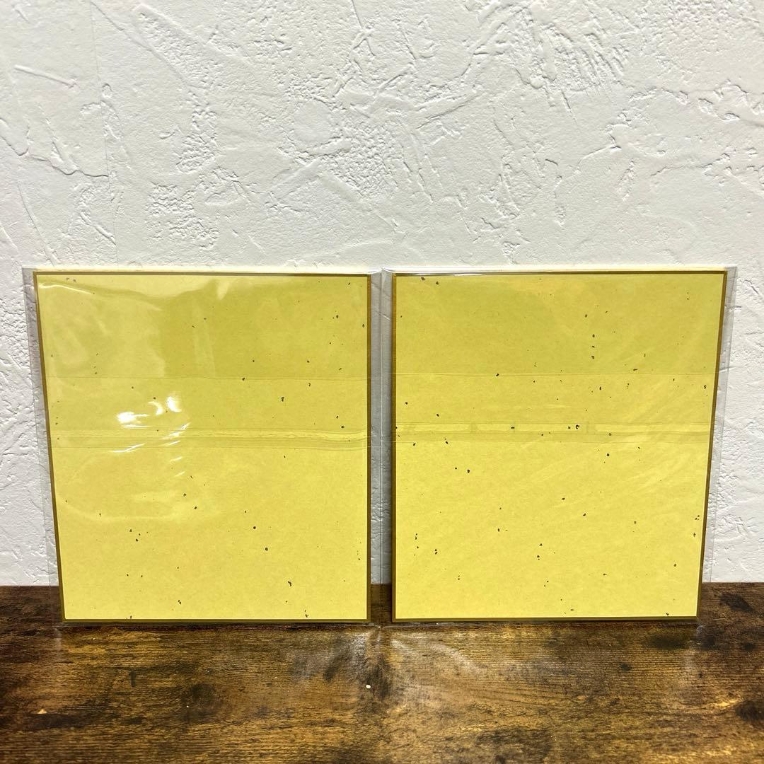 鬼滅の刃 義勇と錆兎 複製ミニ色紙 2枚セット 柱稽古編