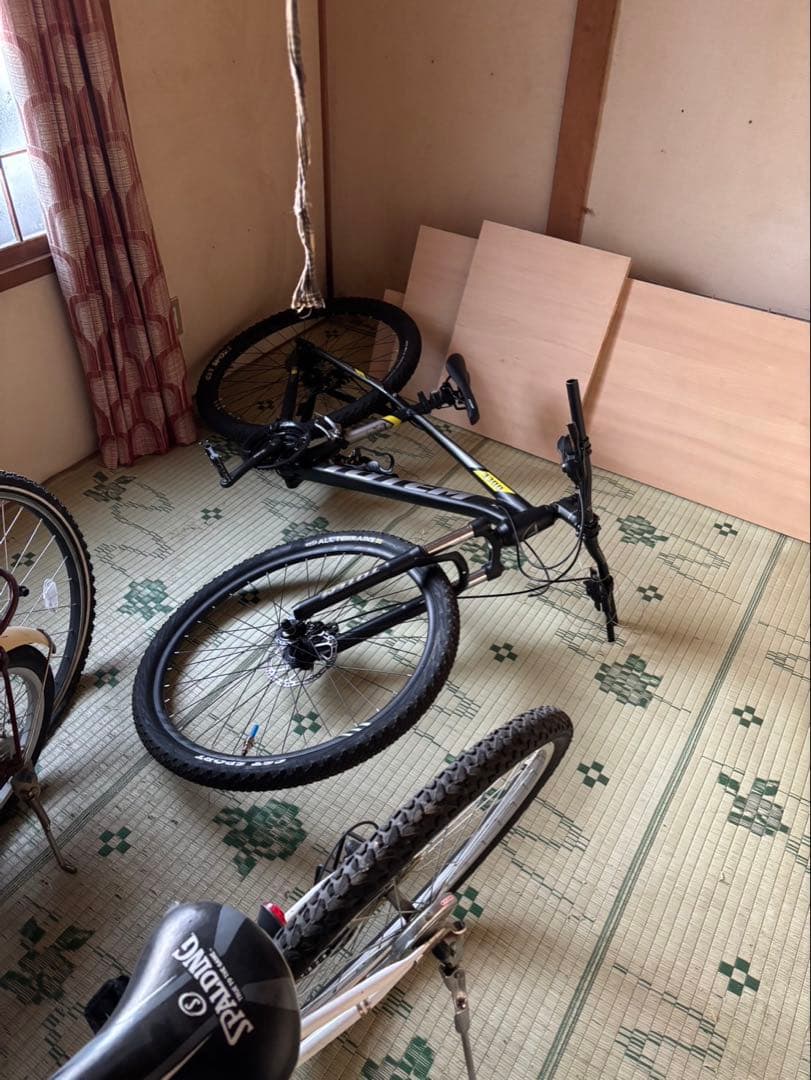 TOTEMマウンテン