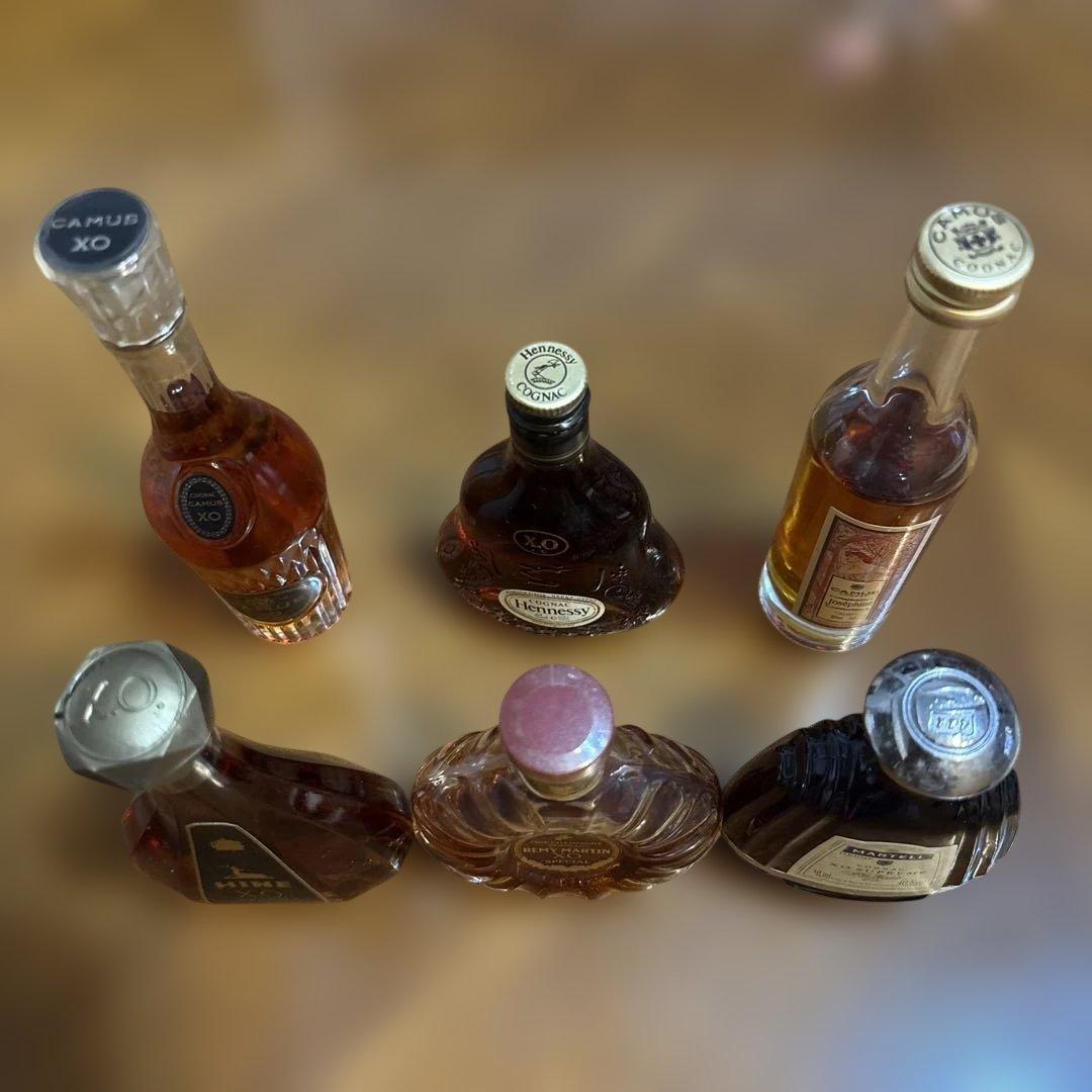 未開封 ミニボトル６本セット Hennessy XO CAMUS MARTELL